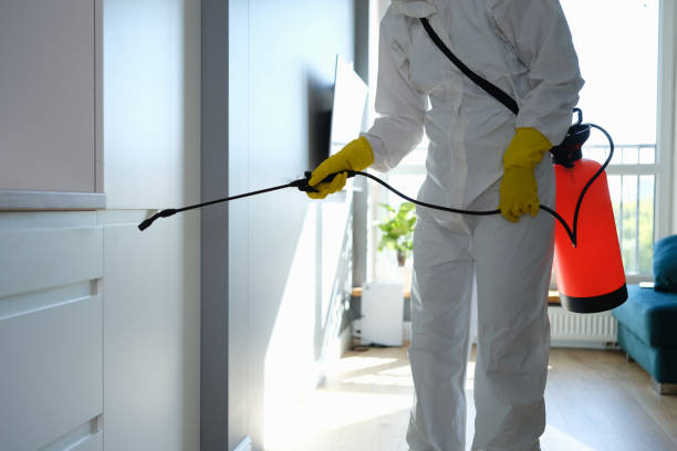 Mold Testing and Removal in Pharr, TX