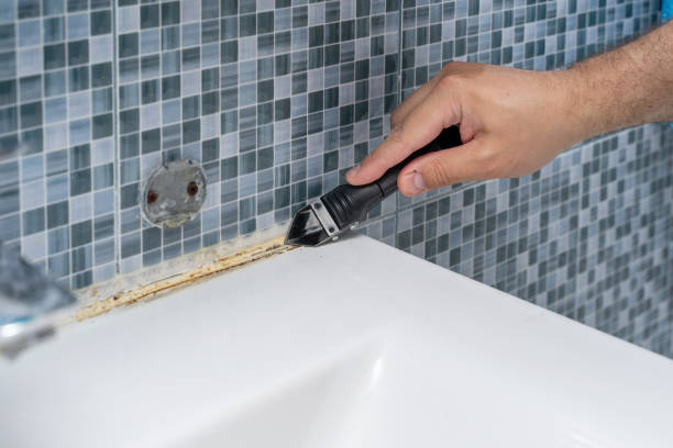 Reliable Pharr, TX Mold Removal Solutions