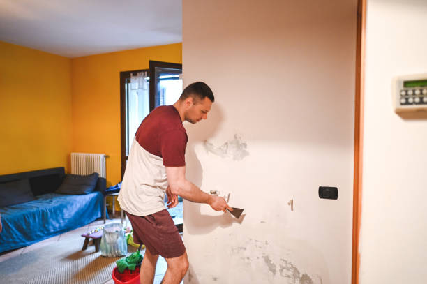 Best Mold Removal Company Near Me  in Pharr, TX